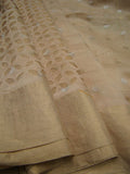 Beige Chanderi Silk Cotton Applique Work Saree-Silk Cotton Saree-House of Taamara-House of Taamara