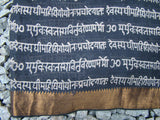 Black/Beige Kalamkari Cotton Saree-Saree-House of Taamara-House of Taamara