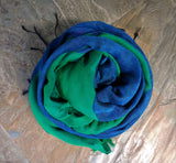 Blue/Green Linen Saree-Saree-House of Taamara-House of Taamara