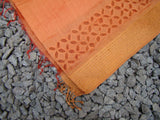 Orange Chanderi Silk Cotton Applique Work Saree-Silk Cotton Saree-House of Taamara-House of Taamara