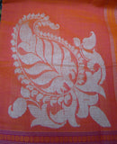 Orange Kanchi Cotton Saree-Saree-House of Taamara-House of Taamara